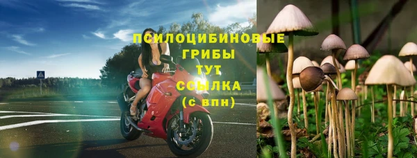 ECSTASY Инта